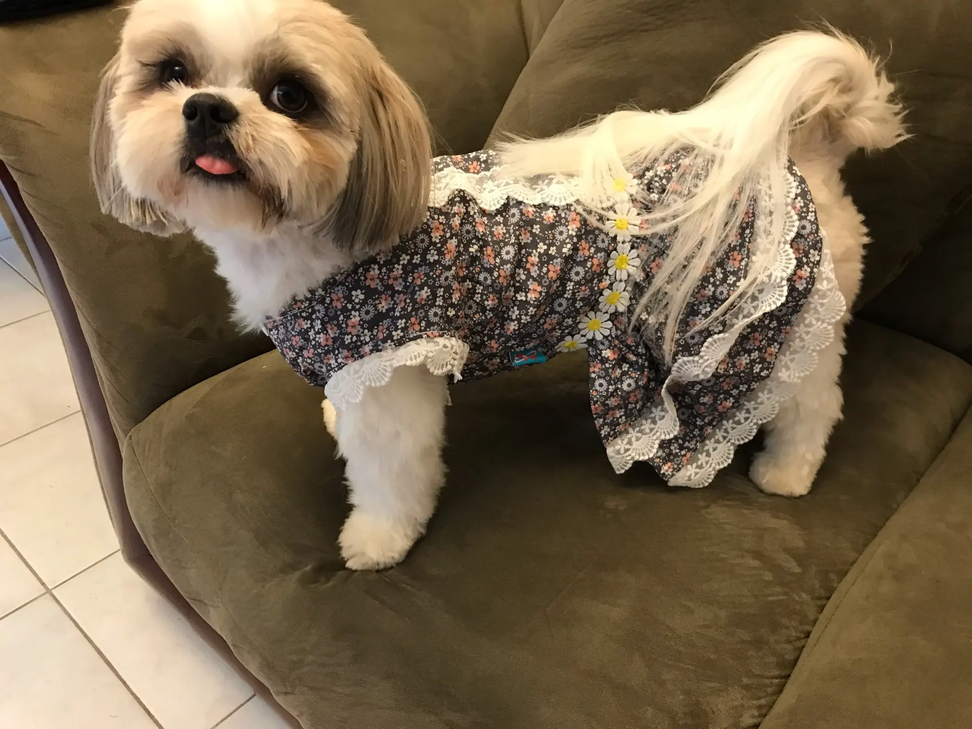 Customer photo