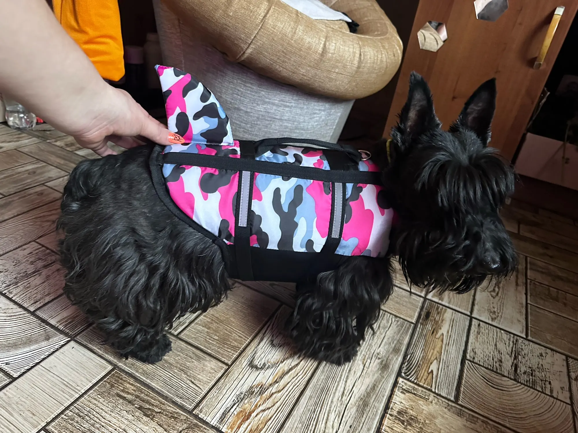 Chaleco Salvavidas Tiburón Con Estillo Para Perro
