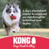 KONG - Flyer - Durable Rubber Flying Disc Dog Toy 3