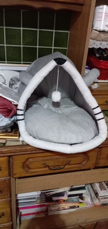 Cat Toys | Mouse Shape toys | Foldable Cat Toys । Cat & Dog Toys | ATOZBY photo review