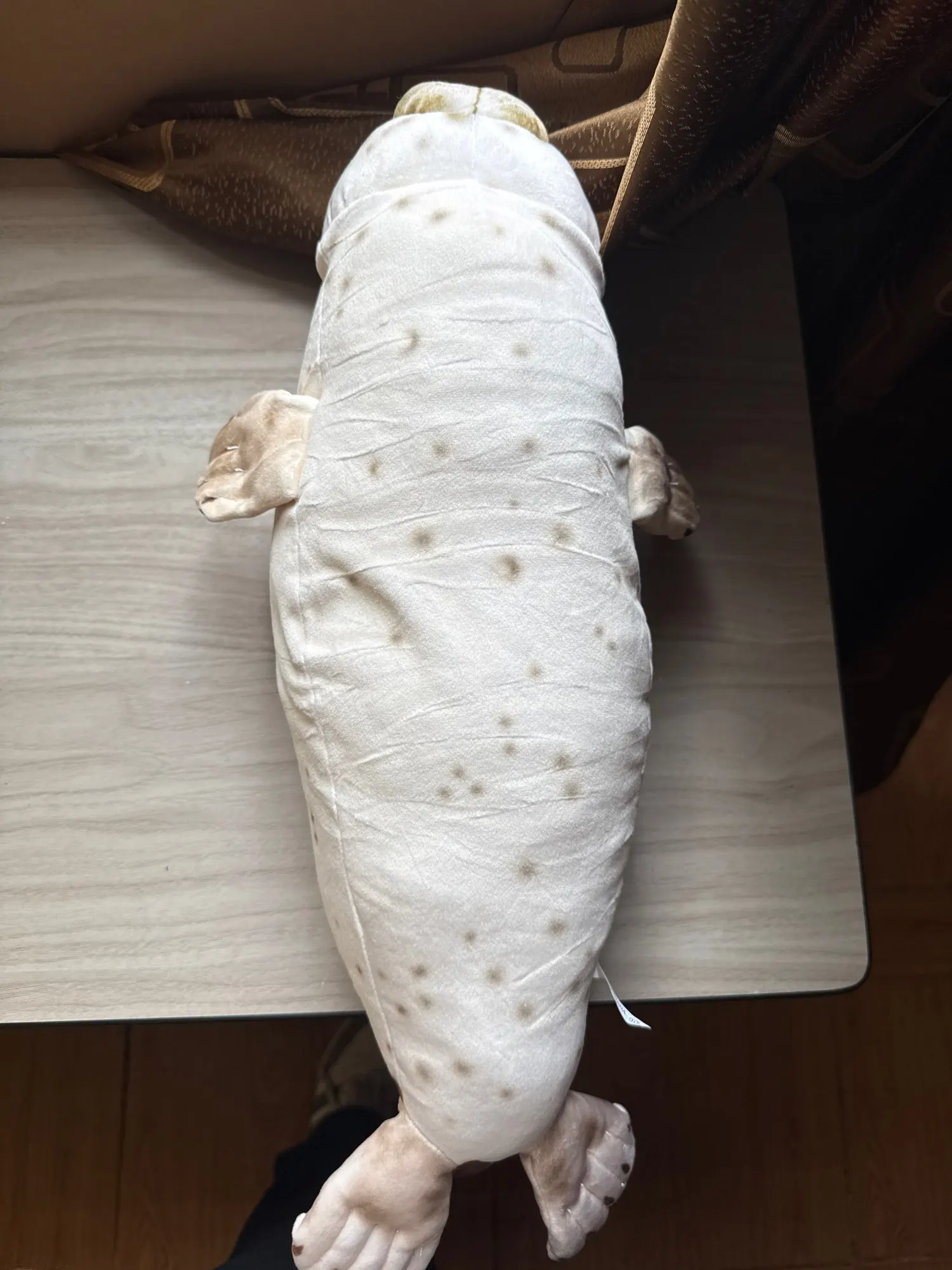 Foquinha Serena Fofeza® de Pelúcia