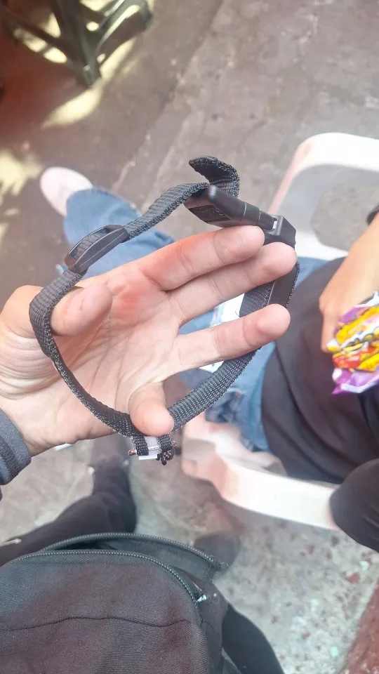 GlowSafe – Leuchtendes Halsband & Leine für maximale Sichtbarkeit bei Nacht photo review