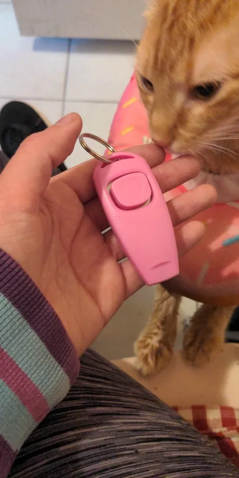 2 In 1 - Convenient Clicker Integrated Whistle For Dog photo review