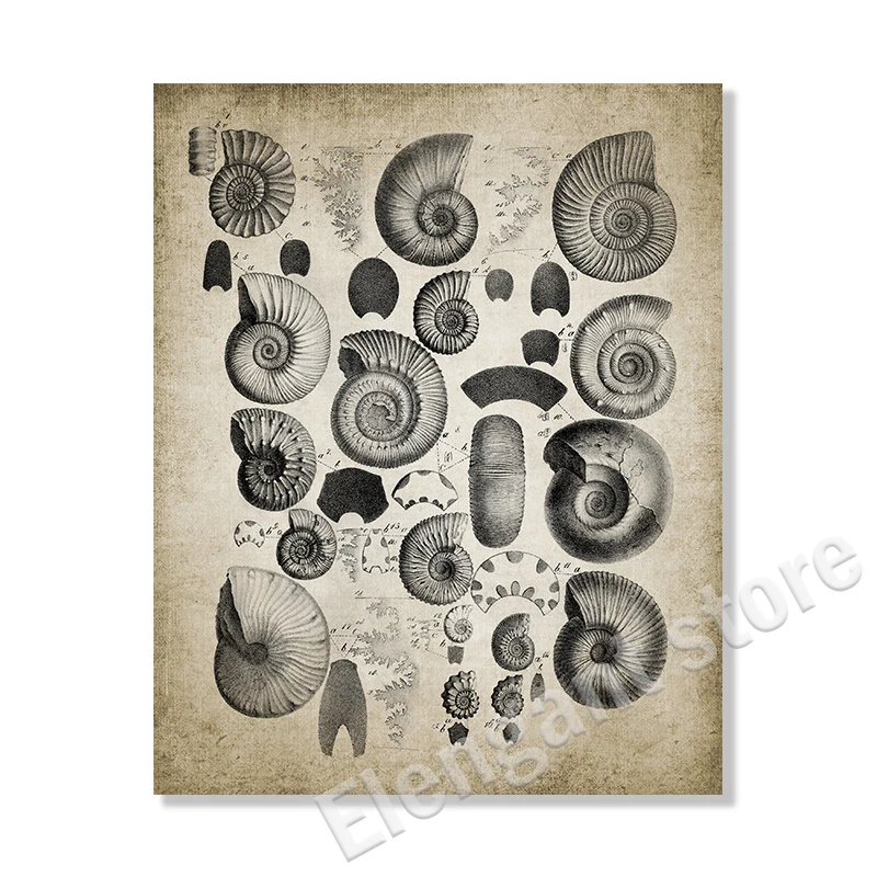 Vintage Paleontology Wall Art: Trilobite & Ammonite Canvas Painting Decor
