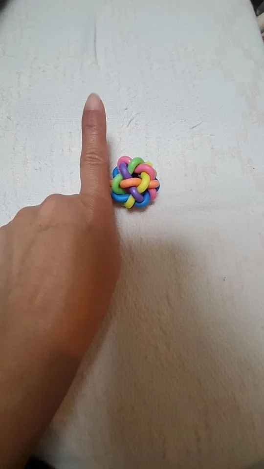 Chew 'n' Play: Colorful Training Toy Ball for Pets photo review