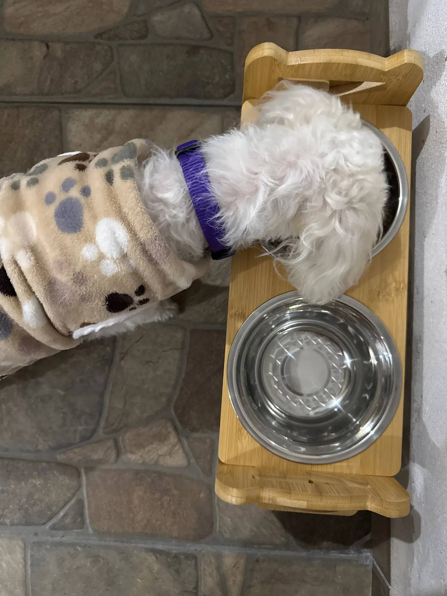Comedero Elevado Ajustable De Bambú Para Perro