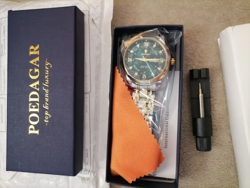 POEDAGAR Luxury Watch for Men photo review