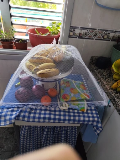 Cubierta para alimentos, malla plegable, lavable, moscas, mesas, cubierta protectora a prueba de insectos, cubiertas para platos, accesorios de almacenamiento para el hogar y la cocina photo review