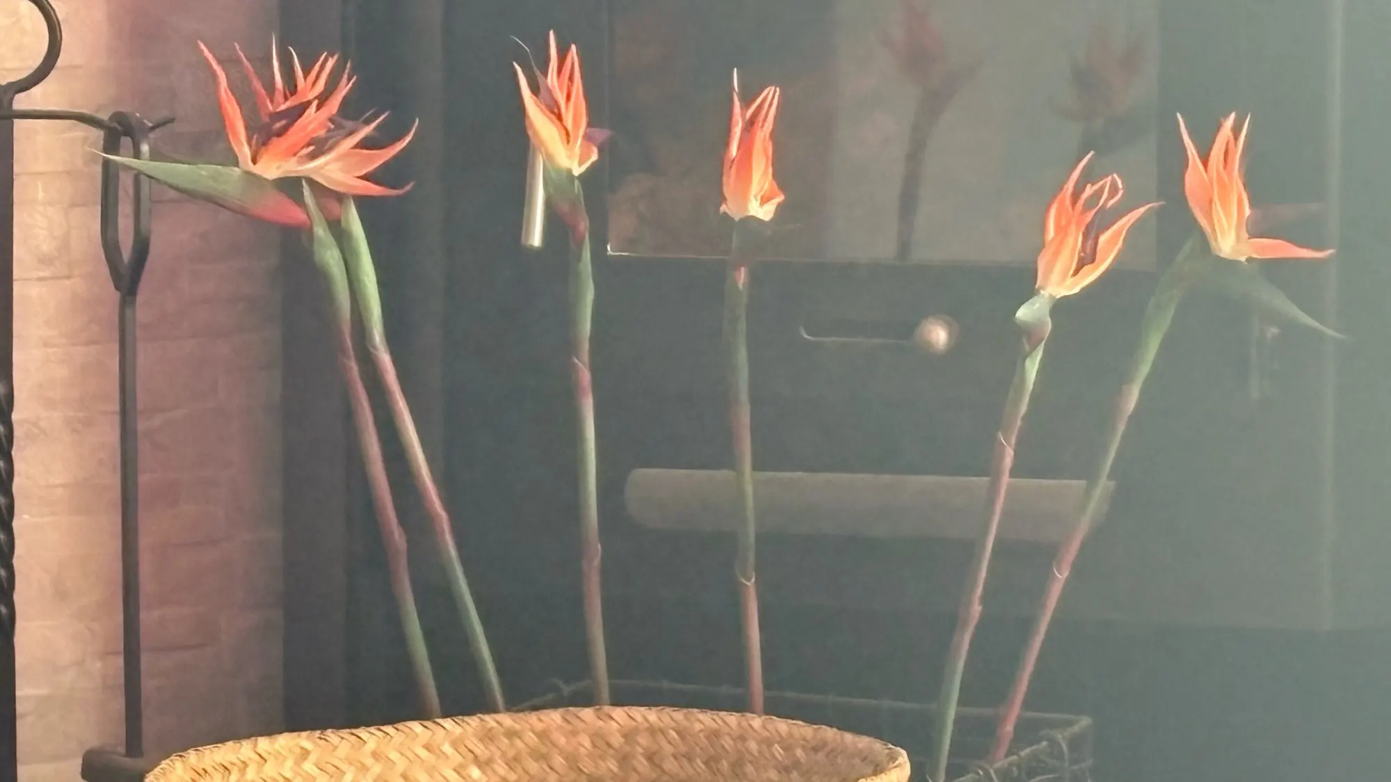 3pcs Artificial Bird Of Paradise Flowers Rubber Strelitzia 24.5'' Long Stem Flower Suitable For DIY Home Party Theme Decor photo review