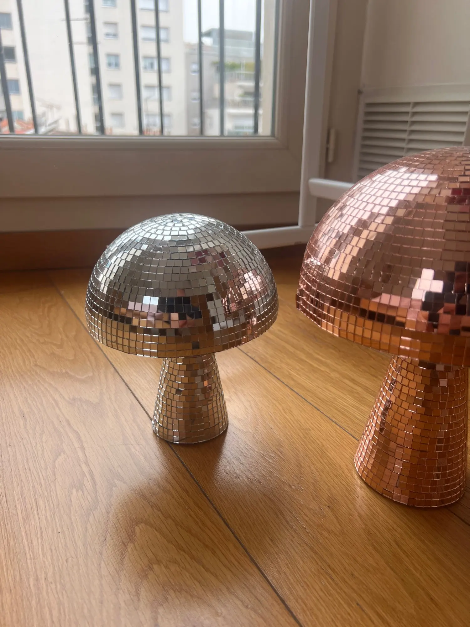 Disco Mushrooms, customer photo