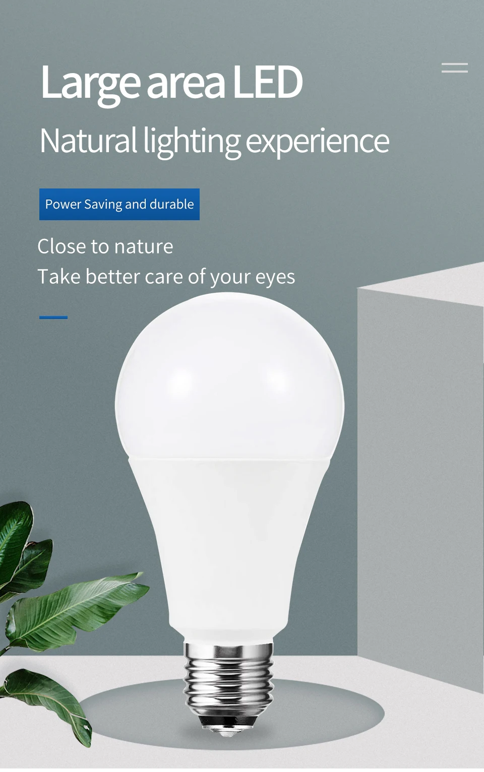 LED Bulb Lamps 1