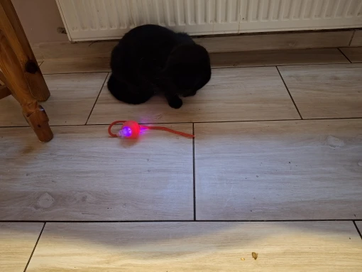 PawPulse™ Smart Motion Ball