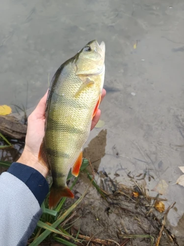 LSP Texas Rig Sinker 1/16 - 1 Oz Bullet Bass Fishing Weight 1.8-28g Lure Accessories Fishing Goods For Winter Fishing photo review
