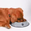 Stainless steel dog bowls anti-tipping cat bowls large capacity dog ​​bowls medium and large size dog food bowls pet supplies 4