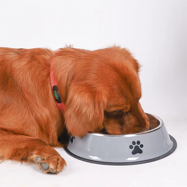 Stainless steel dog bowls anti-tipping cat bowls large capacity dog ​​bowls medium and large size dog food bowls pet supplies 4