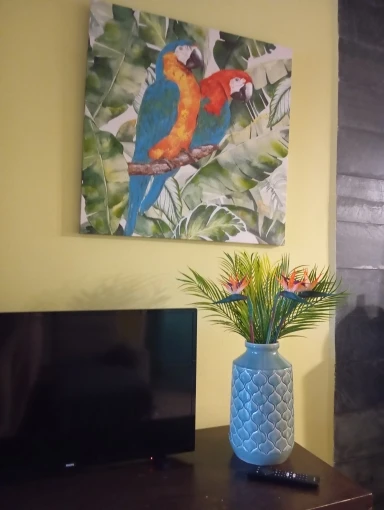 3pcs Artificial Bird Of Paradise Flowers Rubber Strelitzia 24.5'' Long Stem Flower Suitable For DIY Home Party Theme Decor photo review