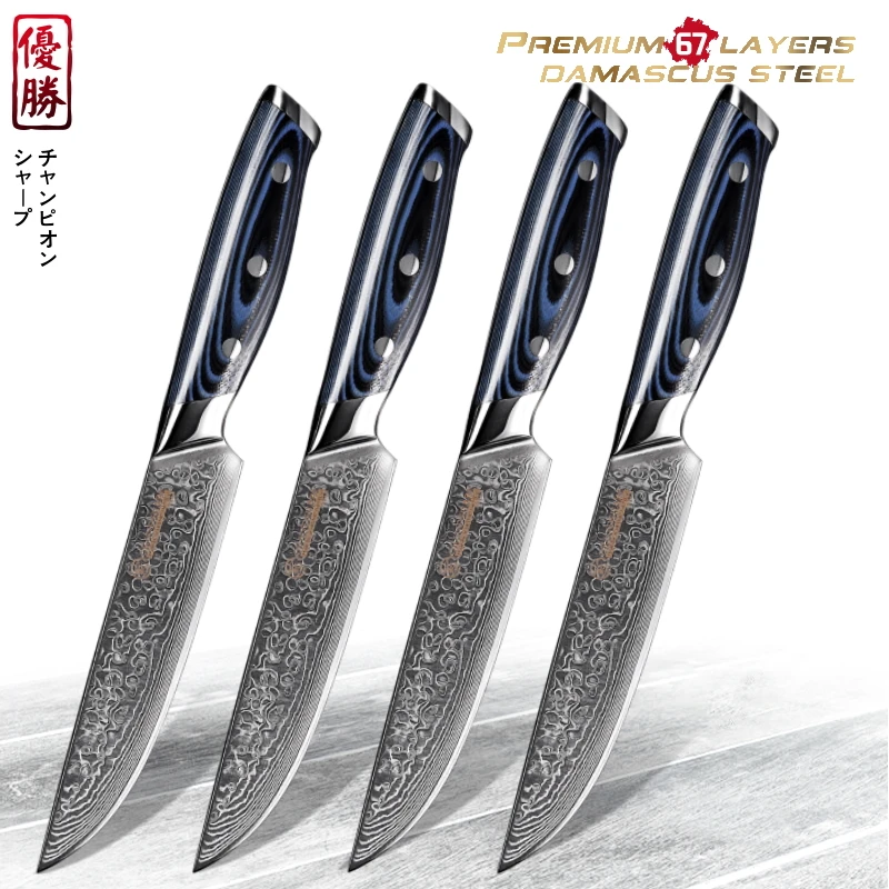 Damascus Steak Knife Set 4 Pcs Chef's Kitchen Knives 67 Layers Vg10 Japanese Damascus Stainless
