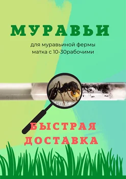 Изображение товара 0