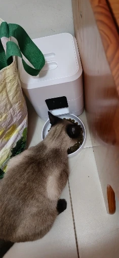 Smart Pet Feeder Automatic Cat Feeder Dog Slow Food Machine photo review