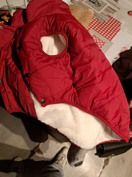 Reflective Comfort: No-Pull Nylon Harness for Large Dogs photo review