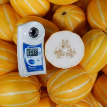 [당도100%] 참외 성주 꿀 참외 성주 참외 1kg 2kg 3kg 4kg 5kg