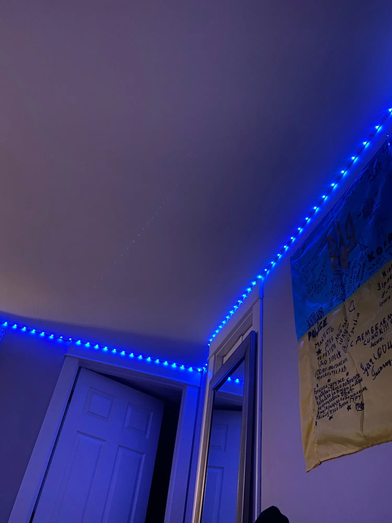 TeslaHubs™ RGB Dash Light customer photo