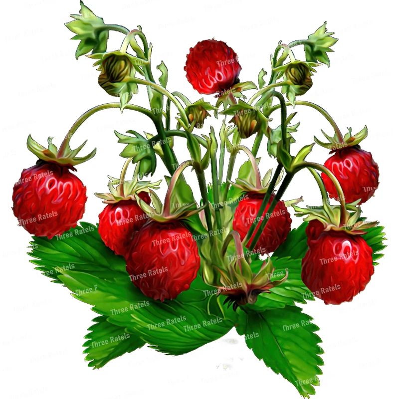 Slide image 634d930a40ef4055bb67b27f04056573