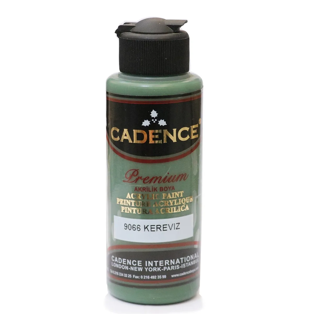 Acrylic Paint Cadence Premium 70ml/ 4670 sage green @ Arte E-pood