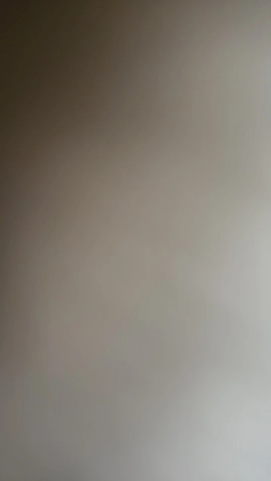 Women's V-Neck Sleeveless Pleated Mini Dress photo review