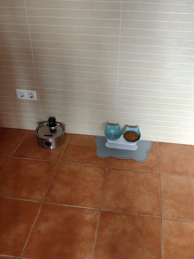 Double Tilted Cat Bowl – Raised Design for Easy Eating