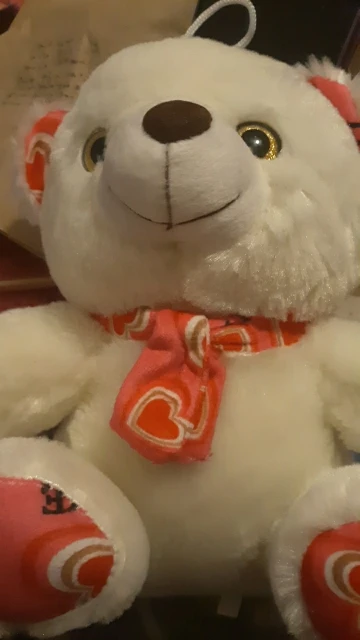 Cute Bear Plush Toy 20cm photo review