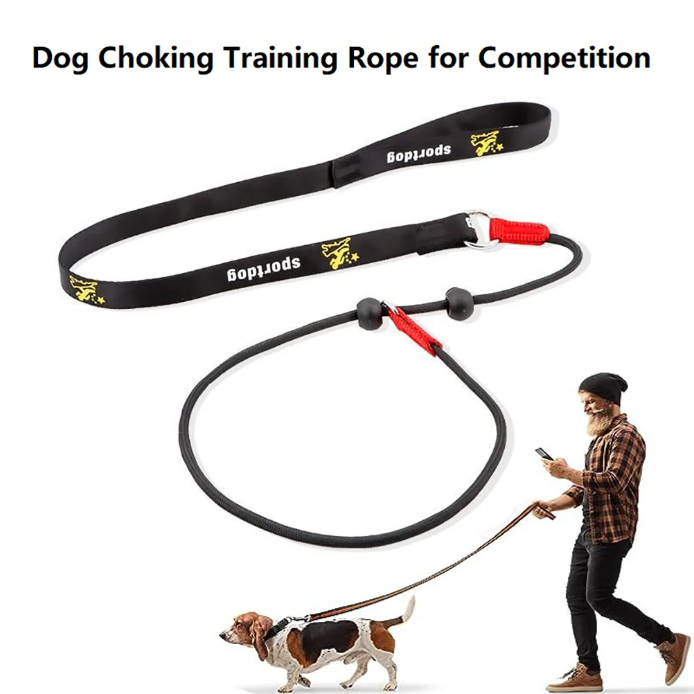 Training Dog Choking Rope Leash 2 in 1 Lead Collar 150cm PShaped Chain