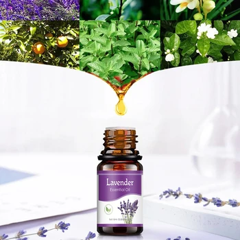 Aromatherapy Essential Oils Kit Lavender, Mint, Lemon, Rose, Jasmine, tea tree All Perfect for Humidifiers Yoga bedroom 2