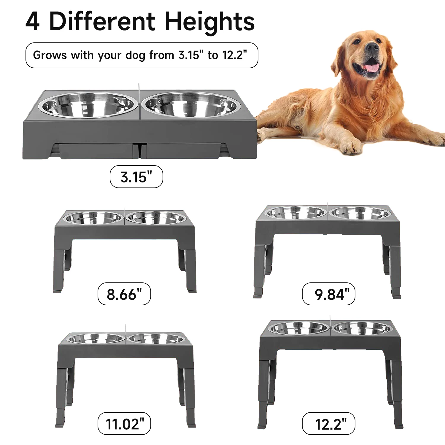 dual bowl food and water setup