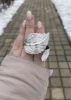 Изображение товара 1