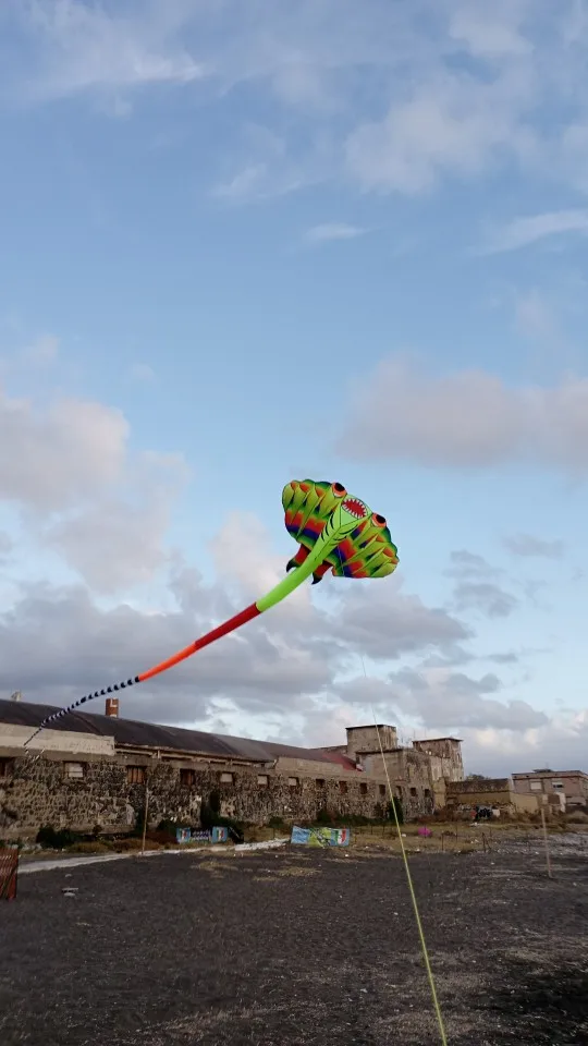 3D 13M Ray Soft Kite with 9 Air Vents Comes with A 200M Wire Wheel Made of Nylon Material That Is Easy To Fly and Tear Resistant photo review