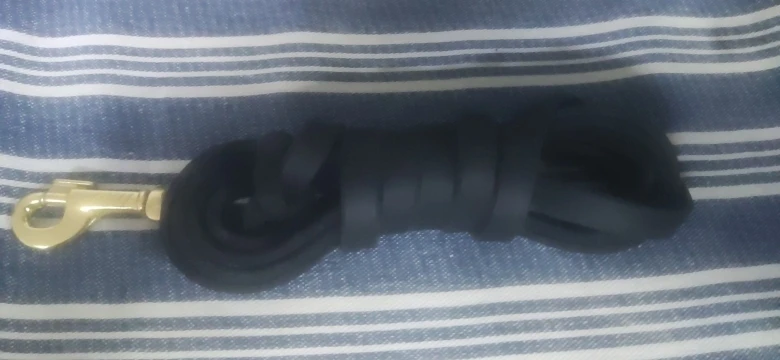 Braid Paws Genuine Leather Dog Leash: Stylish Long Lead for Medium to Large Pets photo review