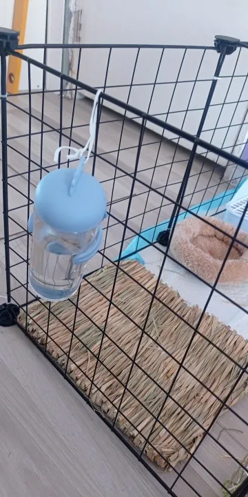 Sip-n-Play,  Small Pet Water Bottle for Happy Hydration and Playful Moments photo review