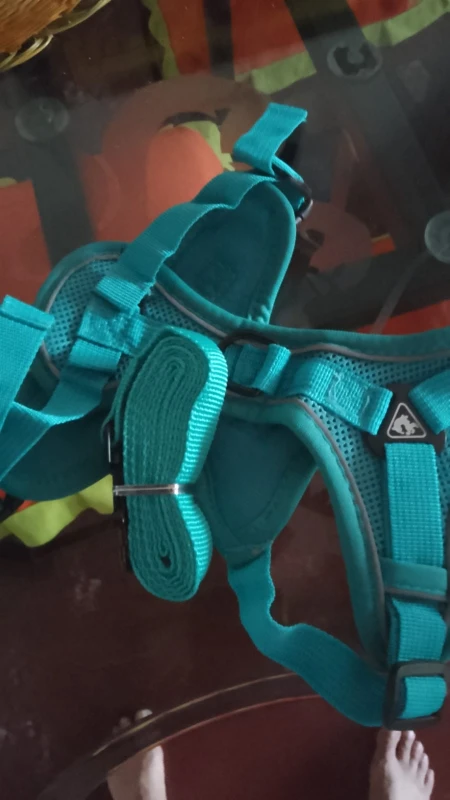 Halsband - Verstellbar, Reflektierend & Komfortabel für kleine Hunde und Katzen photo review