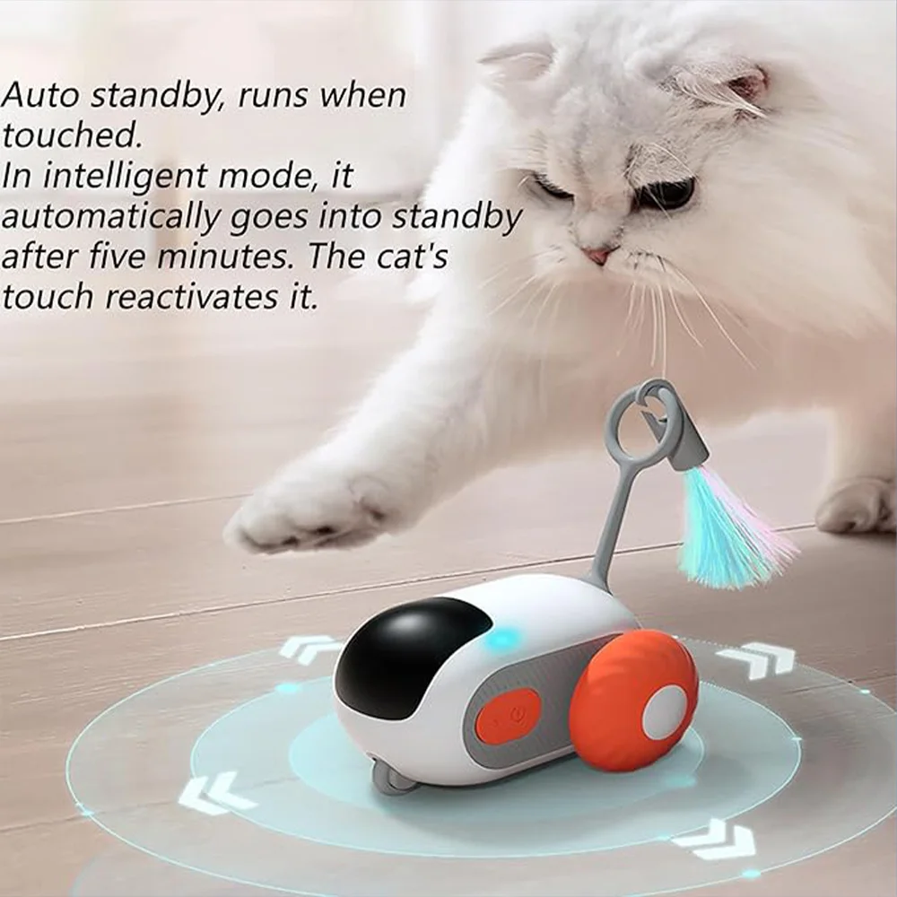 Cat enjoying playtime with car toy