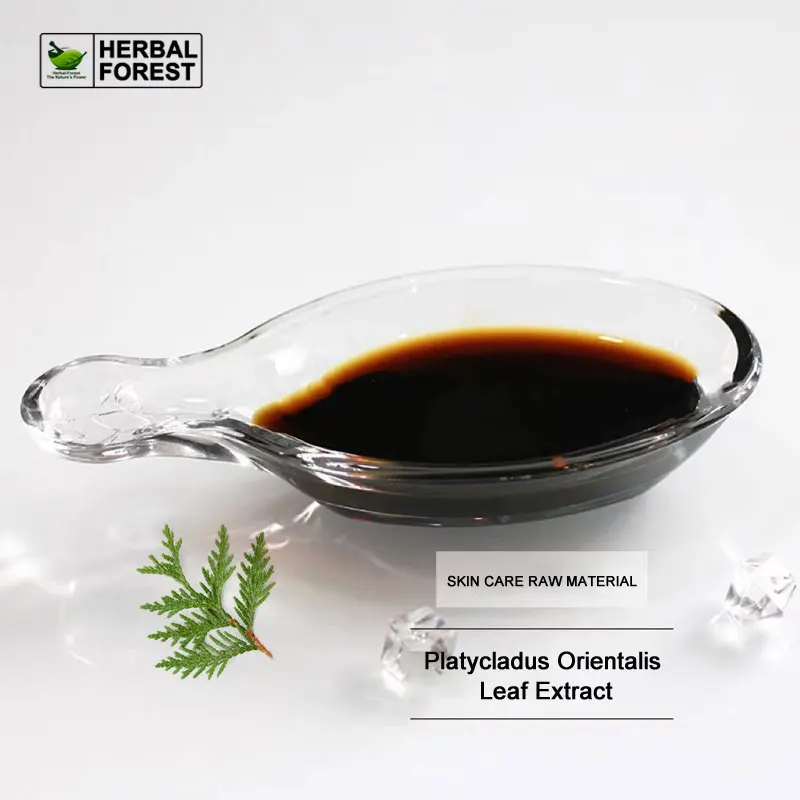 Pure Natural Platycladus Orientalis Leaf Extract Liquid to Prevent Hair Loss Hair Care Grow Hair Brighten Skin Care Additives