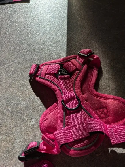 Halsband - Verstellbar, Reflektierend & Komfortabel für kleine Hunde und Katzen photo review