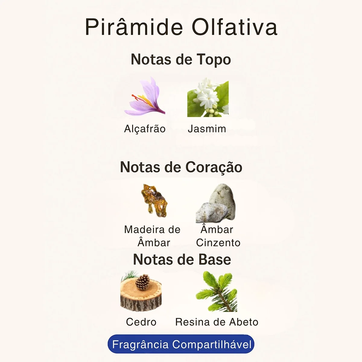 Perfume Árabe Compartilhável Rouge Âmbar A026 – 25ml – Âmbar Amadeirado 6