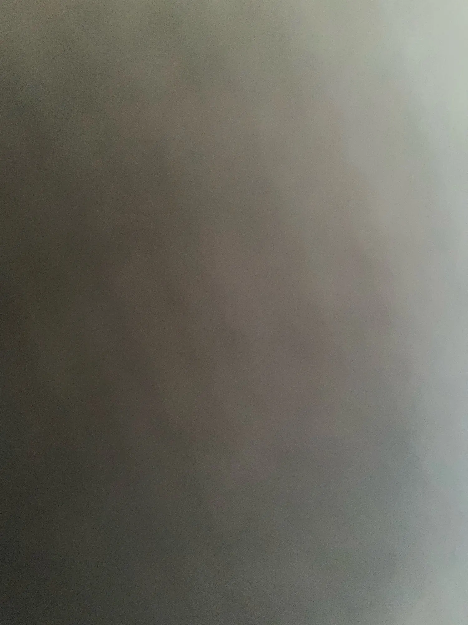 Ailegogo Faux Leather Short Jacket photo review