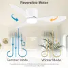 IRALAN Modern LED Ceiling Fan Light With Remote Control Energy-saving Light With Fan In Bedroom、Home  Low Floor Decorative Light 4