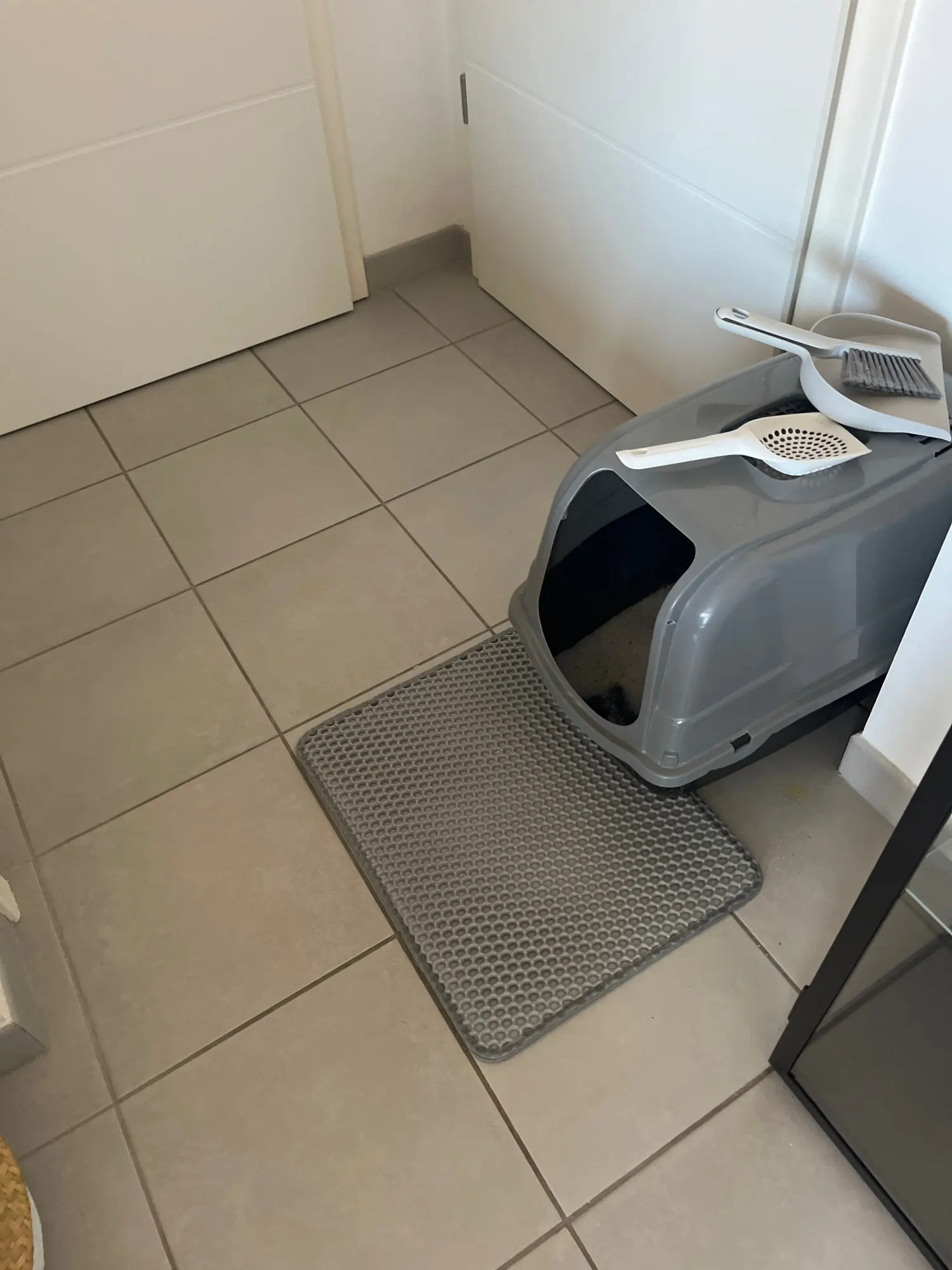 Cat Litter Mat Double Layer Waterproof Urine Proof Trapping Mat Easy to Clean Non-Slip Toilet Pad  Cat Scratch Pad Large Foot Pa photo review