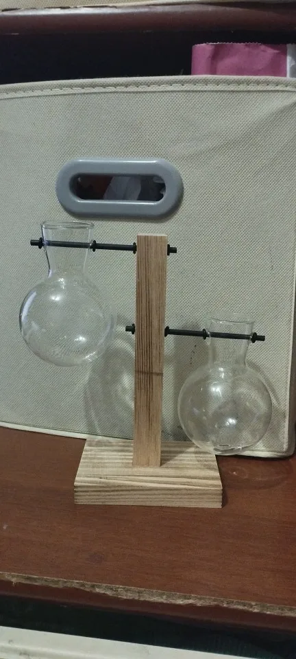 Hydroponic Plant Terrarium Vase photo review