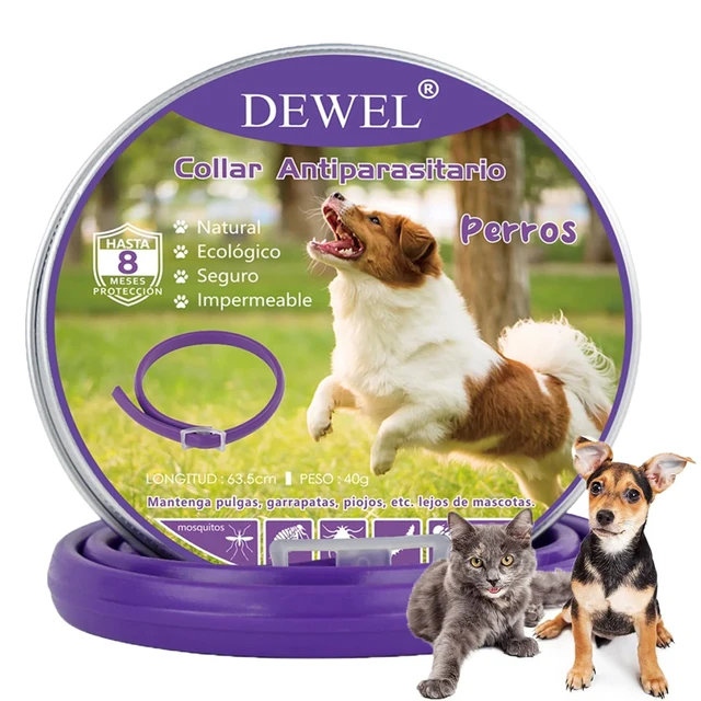 DEWEL Anti Flea Dogs Collar 8 Months Effective Protection Natural Safe Adjustable Anti Tick Dogs Cats Collar Pet Accessories 1