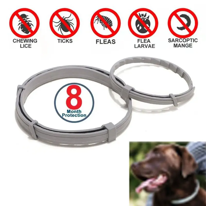 Collare Antipulci E Zecche Per Cani - Protezione 8 Mesi, Impermeabile, Taglia Unica, Naturale - Foto 6