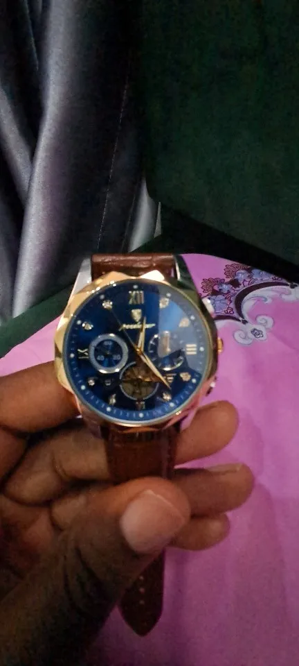 POEDAGAR Luxury Watch for Men photo review